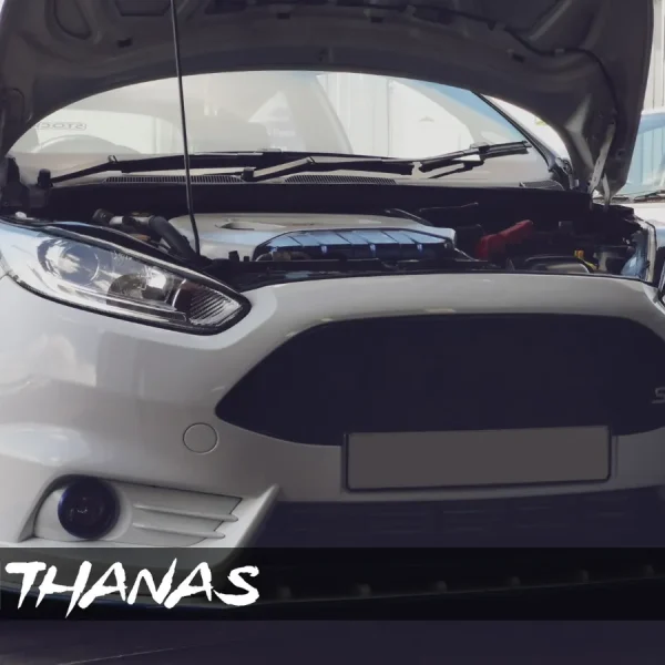 Ford Fiesta ST180 - Custom THANAS Stage 2/2X ECU Tune